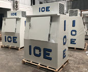 Escaninho de armazenamento contínuo ereto do gelo do congelador da porta do refrigerador do gelo do posto de gasolina
