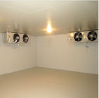 Sala de armazenamento frio personalizada do congelador para o chá verde ou a pizza