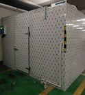 Sala de loja fria de degelo elétrica para frutas e legumes com volume de 800 toneladas