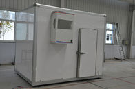 Sala de armazenamento feito-à-medida do frio da porta de balanço multi GV da função SASO