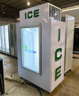 Escaninho de armazenamento ensacado ereto do gelo com a única porta de vidro