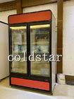 O congelador ereto da exposição do gelado de porta dobro com automático degela a porta de vidro