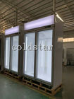 Congelador vertical da vitrina da capacidade grande com a porta de vidro dobro