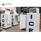 Congelador contínuo exterior 1000L do armazenamento de gelo da porta de SASO único