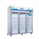 Indique o congelador de refrigerador frio da exposição da mostra das portas de vidro do dobro do congelador 500l de pepsi