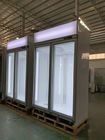 Congelador vertical do gelado da exposição da porta 1000L dobro