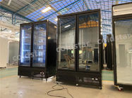 Da porta de vidro comercial do congelador de 2 portas congelador de refrigerador vertical da exposição