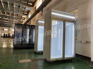 Congelador de vidro ereto comercial da porta -22C para o marisco da carne