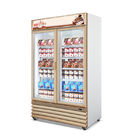 Congelador ereto vertical da mostra da exposição para o gelado &amp; produtos congelados