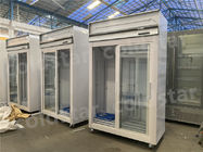 Refrigerador frio da exposição da bebida do equipamento de refrigeração da temperatura da grande capacidade único