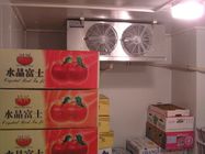 Mini tipo refrigerar de ar da sala de armazenamento frio para a congelação vegetal dos frutos