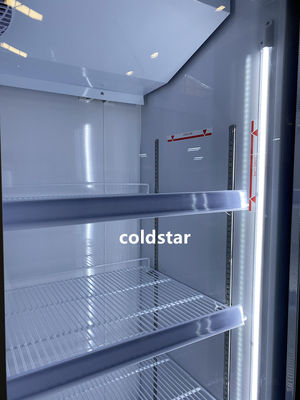 Refrigerador ereto comercial da exposição da bebida da energia do monstro do refrigerador da exposição da cerveja do congelador