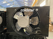 As mercearias mostram o congelador de refrigerador/congelador vertical/congelador da exposição
